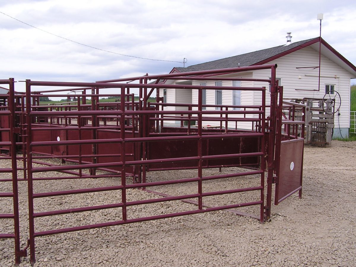 Panels & Gates – Efficient Livestock Handling Systems